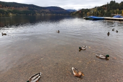 Lake Titisee
